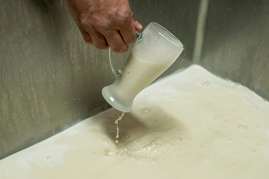 From Ancient Rome to Global Staple: The Evolution of Horchata